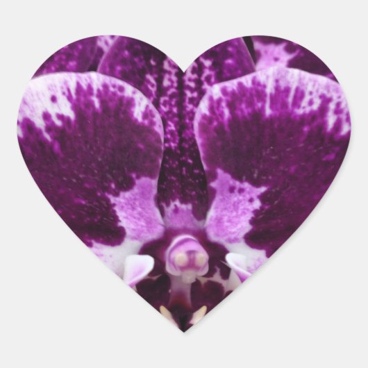 Lila Orchid Heart Stickers (Vorderseite)