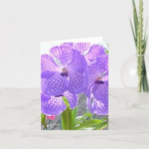 LILA ORCHID KARTE