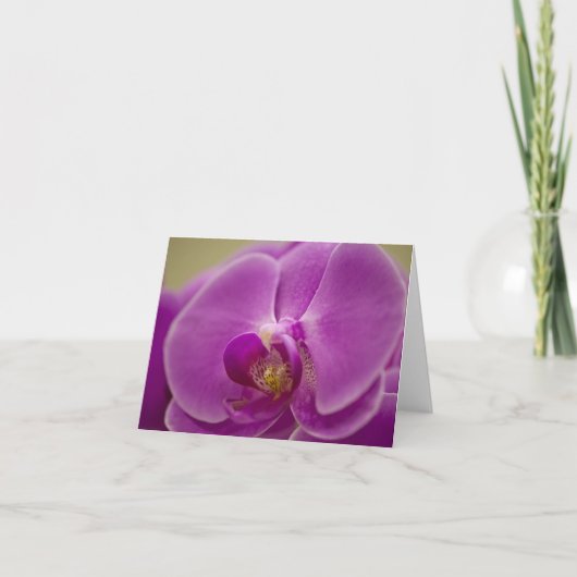 Lila Orchid Karte (Vorderseite)