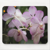 Lila Orchid Mousepad II (Vorne)