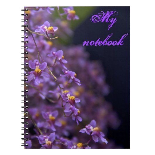 Lila Orchid-Notebook Notizblock (Vorderseite)