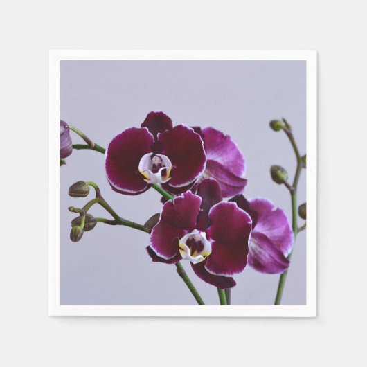 Lila Orchid Paper Napkin Serviette (Vorderseite)