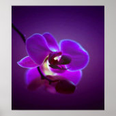 Lila Orchid Poster (Vorne)
