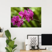 Lila Orchid-Poster Poster (Heimbüro)