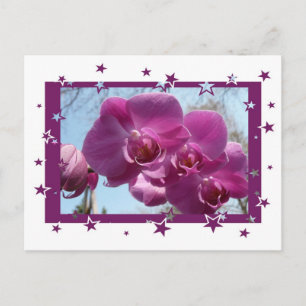 Lila Orchid Postkarte