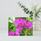 Lila Orchid Postkarte (Stehend Vorderseite)