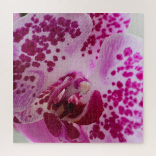 Lila Orchid Puzzle