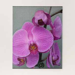 LILA ORCHID-Puzzle Puzzle