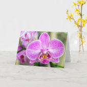 Lila Orchid sagt Hi Karte (Gelbe Blume)