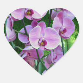 Lila Orchid-Sticker in verschiedenen Formen Herz-Aufkleber