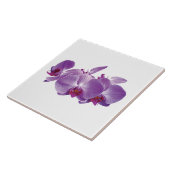 Lila Orchid Trio Fliese (Seite)