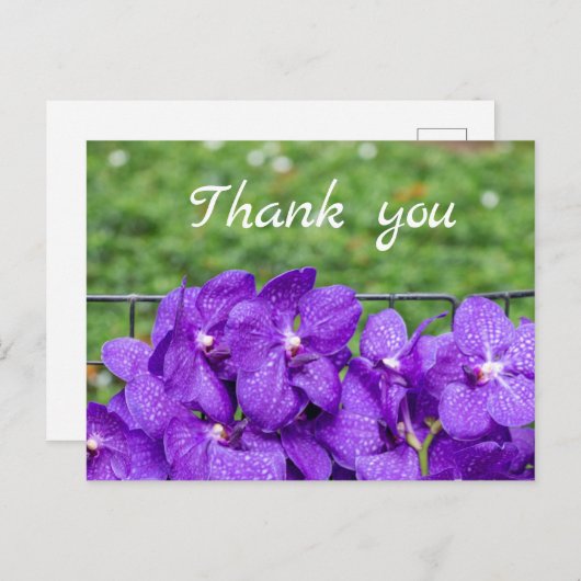 Lila Orchidee auf grünem Gras Vielen Dank Postkarte (Vorne/Hinten)