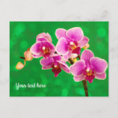 Lila Orchidee auf grüner Postkarte (Vorderseite)