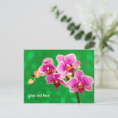 Lila Orchidee auf grüner Postkarte (Stehend Vorderseite)
