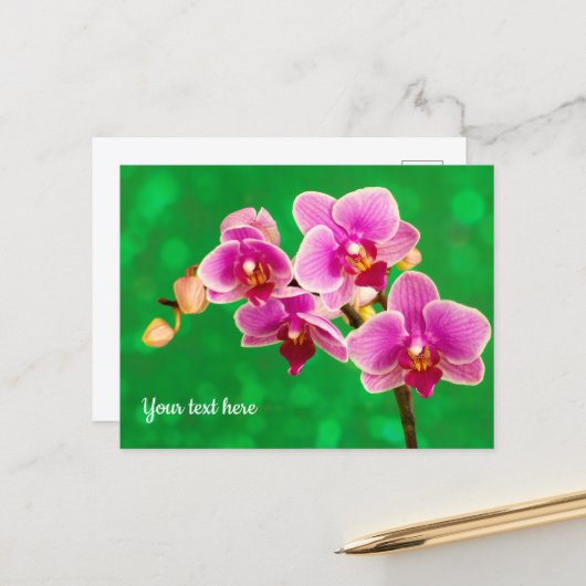 Lila Orchidee auf grüner Postkarte (Vorderseite/Rückseite Beispiel)