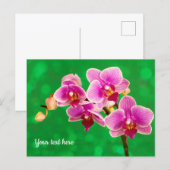 Lila Orchidee auf grüner Postkarte (Vorne/Hinten)