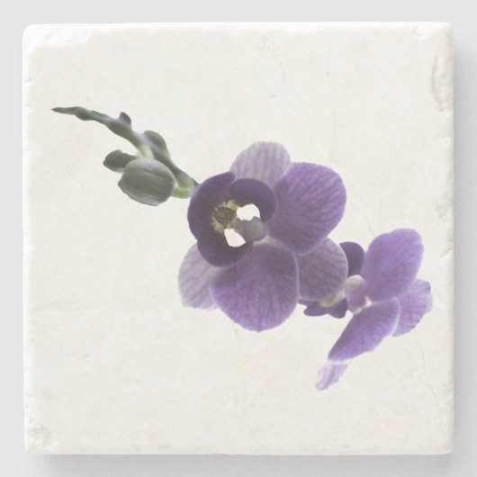 Lila Orchidee Blume, Stone Untersetzer (Vorderseite)