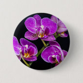 Lila Orchidee Button (Vorderseite)