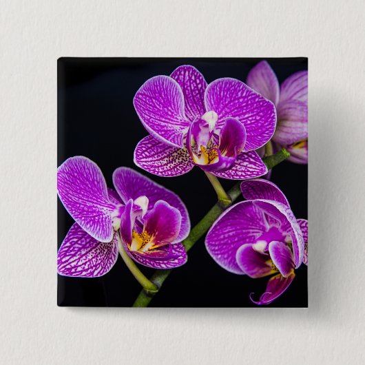 Lila Orchidee Button (Vorderseite)