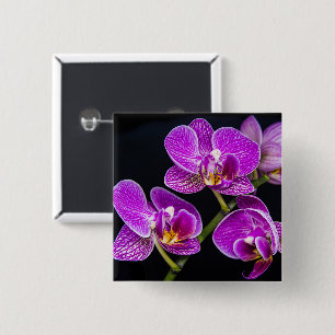 Lila Orchidee Button