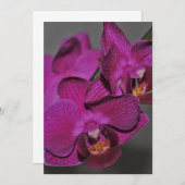 Lila Orchidee Einladung (Vorne/Hinten)
