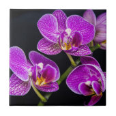 Lila Orchidee Fliese (Vorderseite)