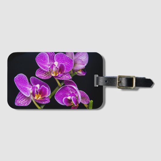 Lila Orchidee Gepäckanhänger (Vorderseite (Horizontal))