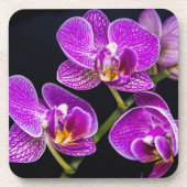 Lila Orchidee Getränkeuntersetzer (Vorderseite)