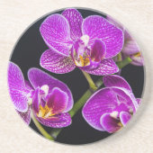 Lila Orchidee Getränkeuntersetzer (Vorne)