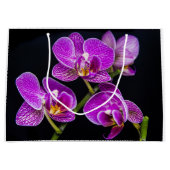 Lila Orchidee Große Geschenktüte (Vorderseite)