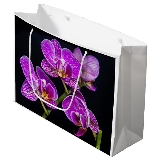 Lila Orchidee Große Geschenktüte (Vorderseite Schrägansicht)