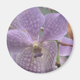 Lila Orchidee Magnet