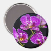 Lila Orchidee Magnet (Vorderseite/Rückseite)