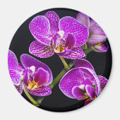 Lila Orchidee Magnet (Vorne)