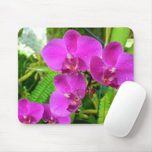 Lila Orchidee Mousepad (Mit Mouse)