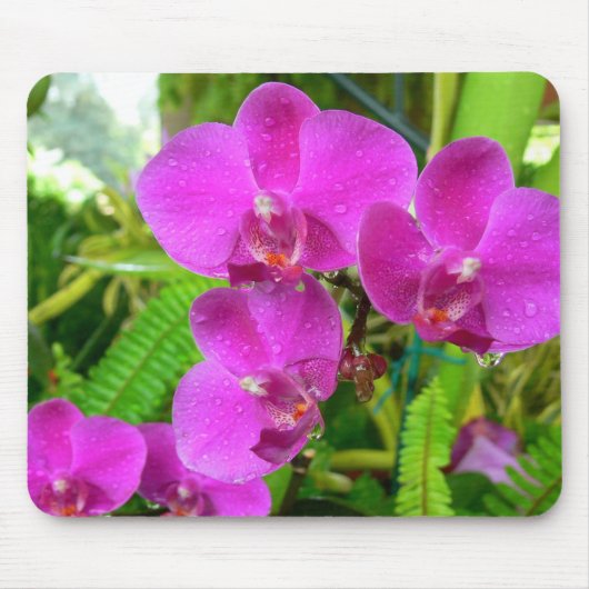 Lila Orchidee Mousepad (Vorne)