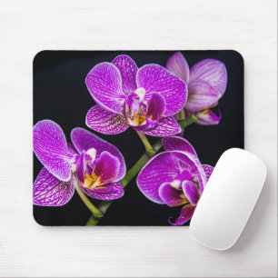 Lila Orchidee Mousepad