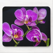 Lila Orchidee Mousepad (Vorne)