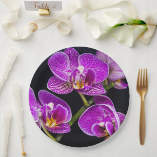 Lila Orchidee Pappteller