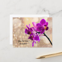Lila Orchidee Postkarte