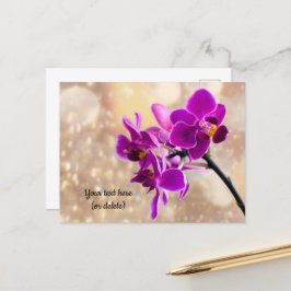 Lila Orchidee Postkarte