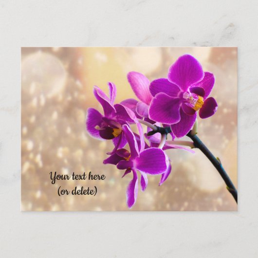 Lila Orchidee Postkarte (Vorderseite)
