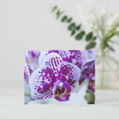 Lila Orchidee Postkarte (Stehend Vorderseite)