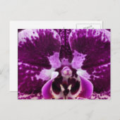 Lila Orchidee Postkarte (Vorne/Hinten)