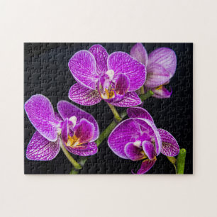 Lila Orchidee Puzzle