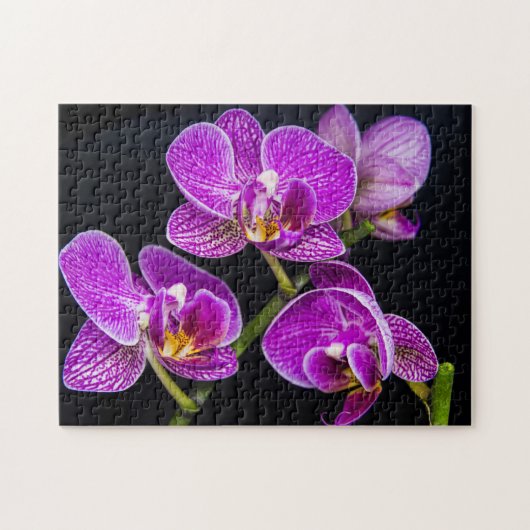 Lila Orchidee Puzzle (Horizontal)