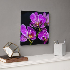 Lila Orchidee Quadratische Wanduhr
