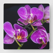 Lila Orchidee Quadratische Wanduhr (Vorderseite)