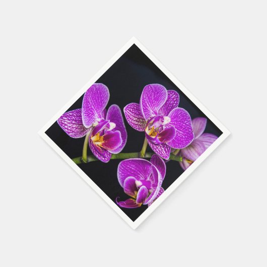 Lila Orchidee Serviette (Ecke)