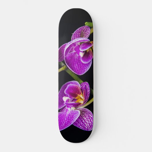 Lila Orchidee Skateboard (Vorderseite)